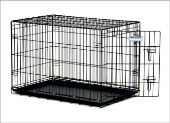 Enclos, cages et clôtures pour chien