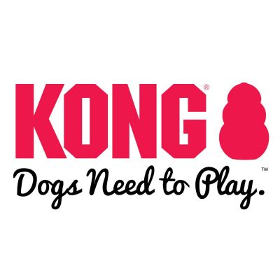 Jouets Kong pour chien