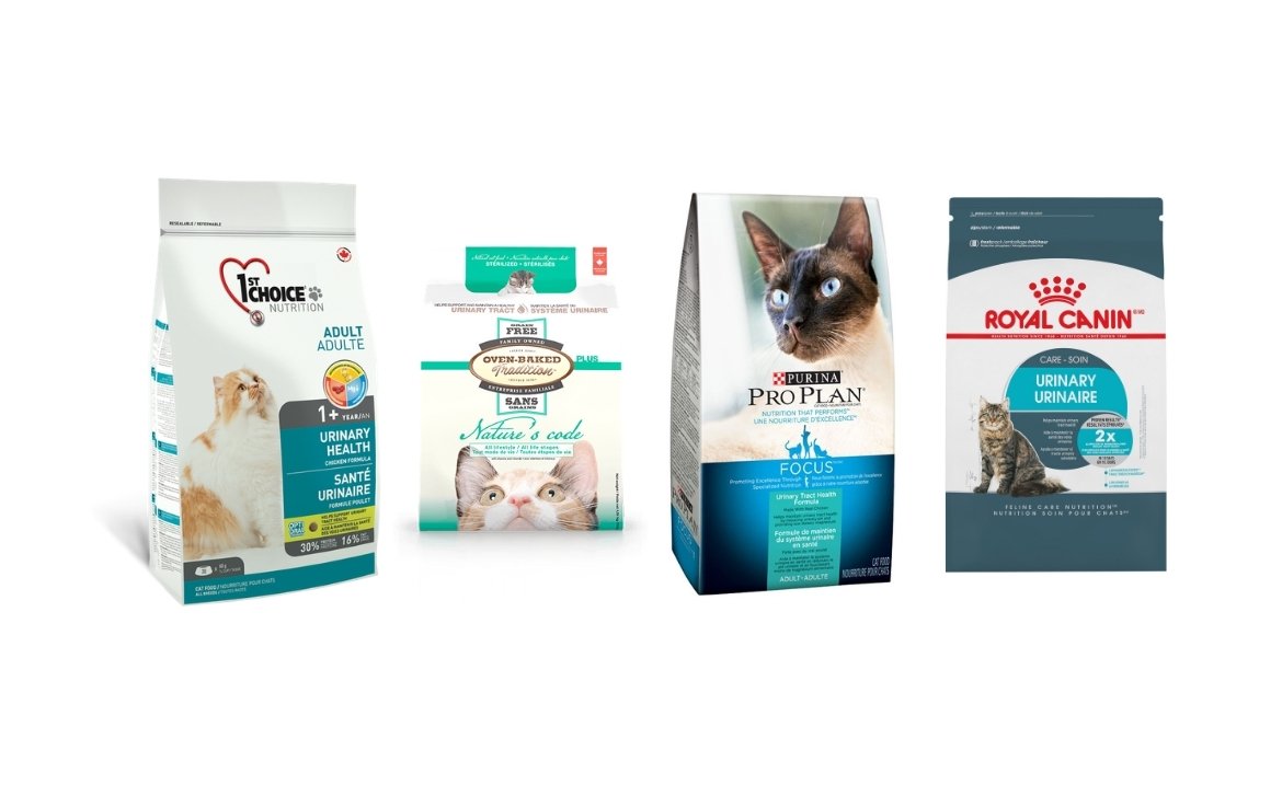 Quatre choix de marques de nourritures pour la santé urinaire du chat