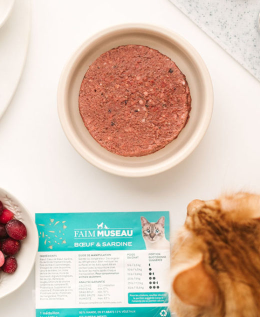 Cru Faim Museau Pour Chat Letourno
