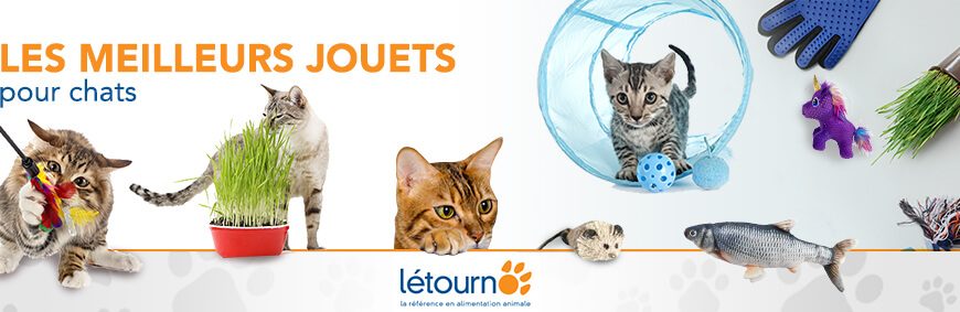 LES MEILLEURS JOUETS pour chats chez Létourno