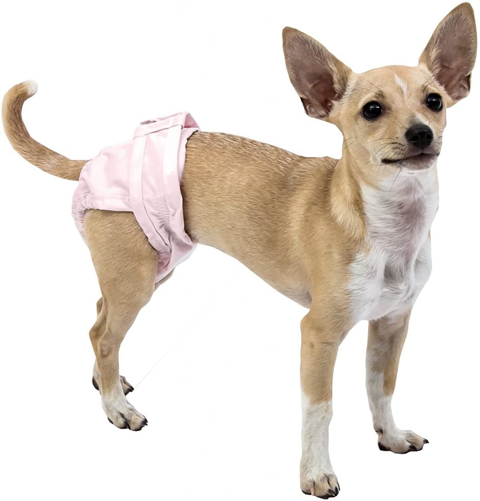 Culotte lavable à pois pour chiot, accessoire hygiénique pour Menstruation,  accessoire de santé pour chien
