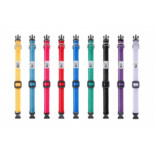 RC PETS - Collier uni pour chien