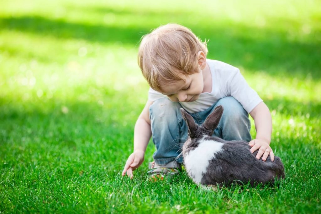Jeune garçon tenant compagnie de son lapin à l'extérieur