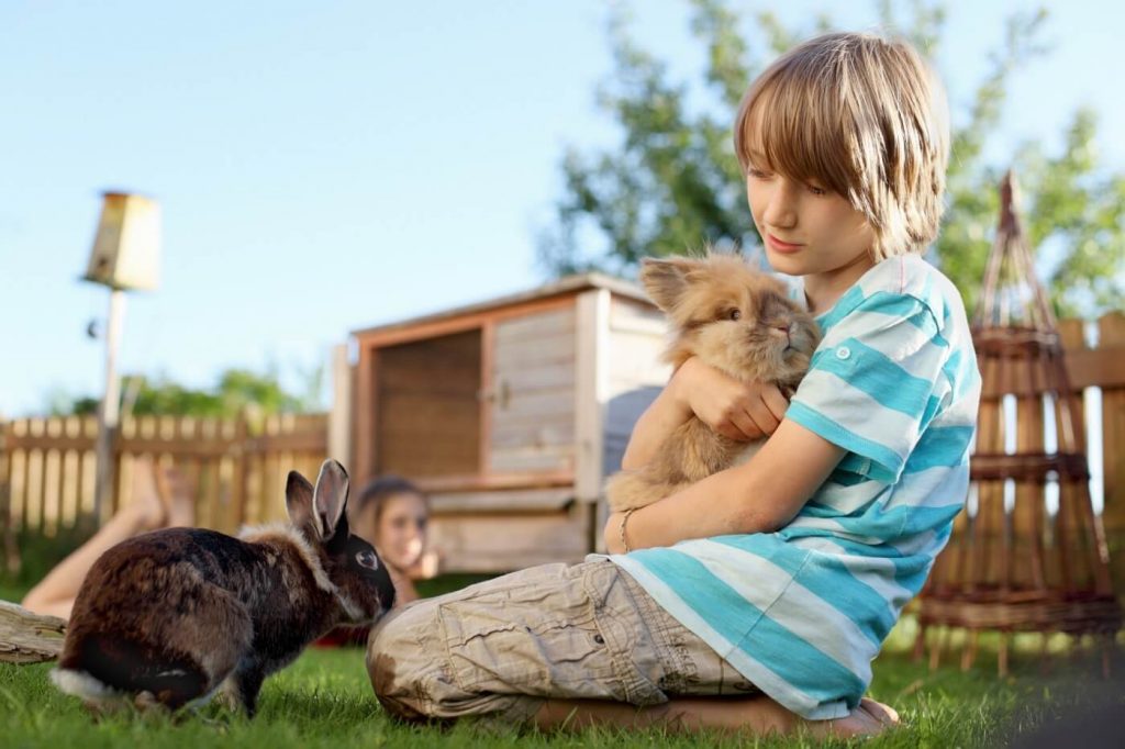 Garçon tenant compagnie de ses deux lapins à l'extérieur