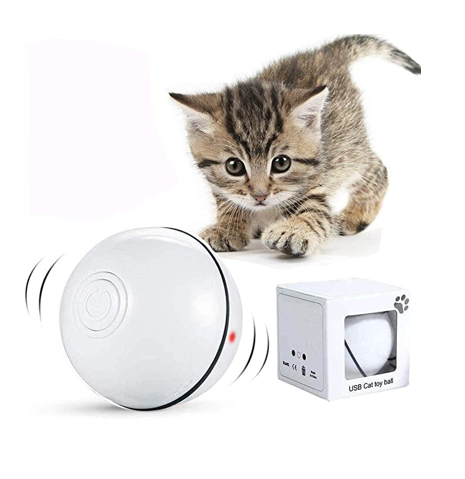 4 pièces jouets interactifs pour chat IQ Tumbler jouet pour chat à gobelet  interactif avec tête de maison de dessin animé et cloche pour chats  d'intérieur et Kitty 