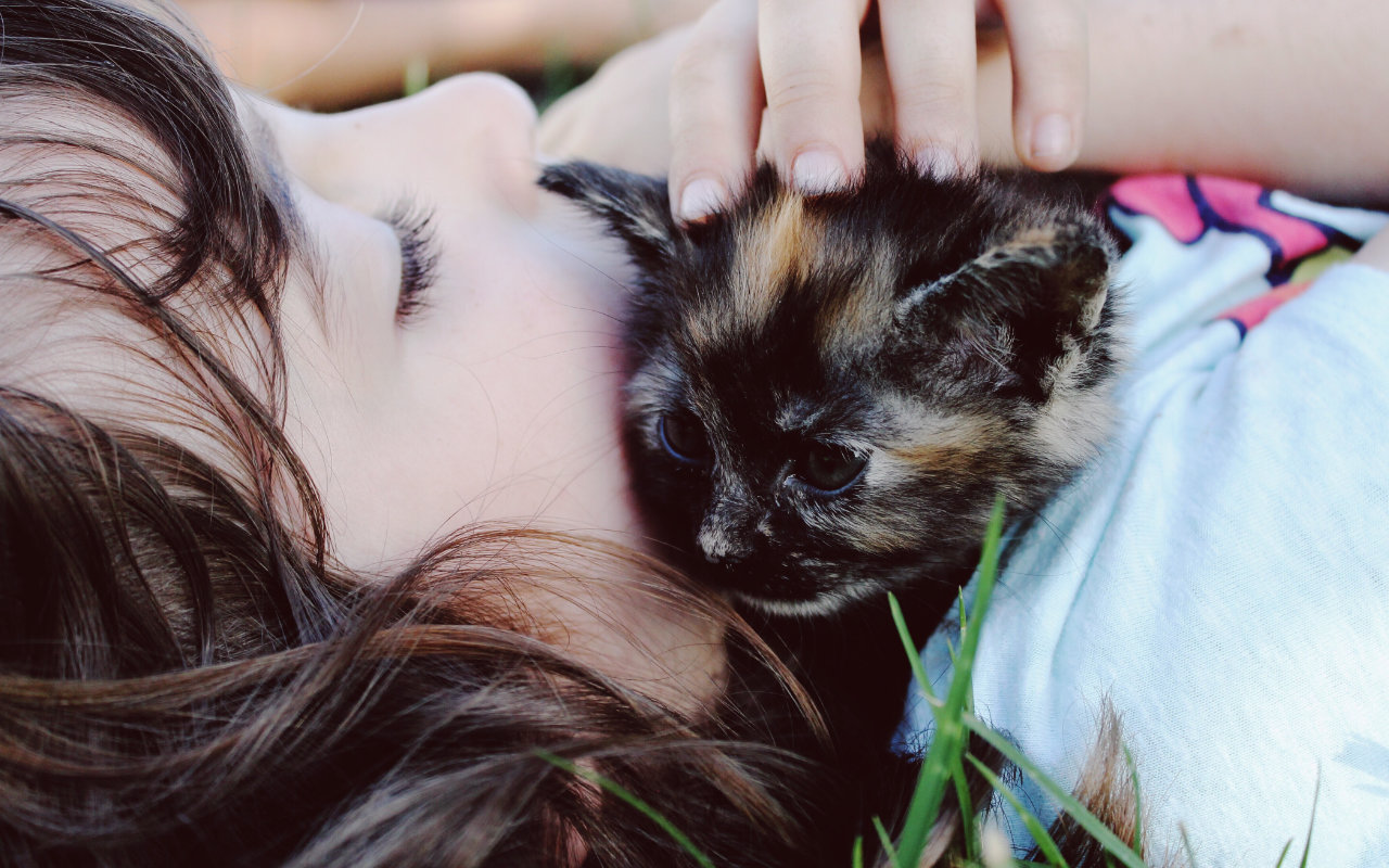 petite fille couchée dans l'arbre avec un chaton dans ses bras