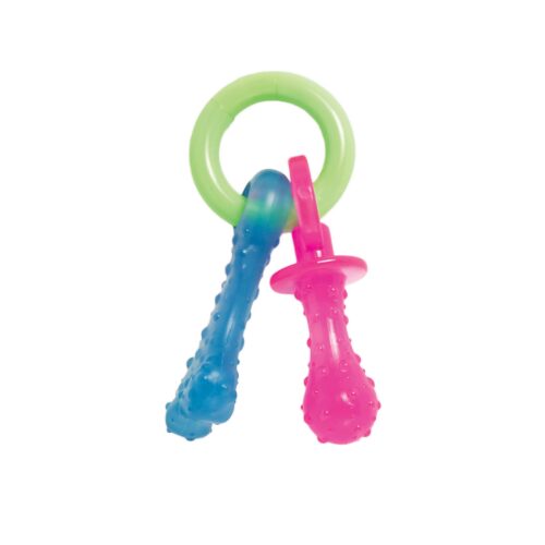 NYLABONE - Jouet de dentition Pacifier pour chiot