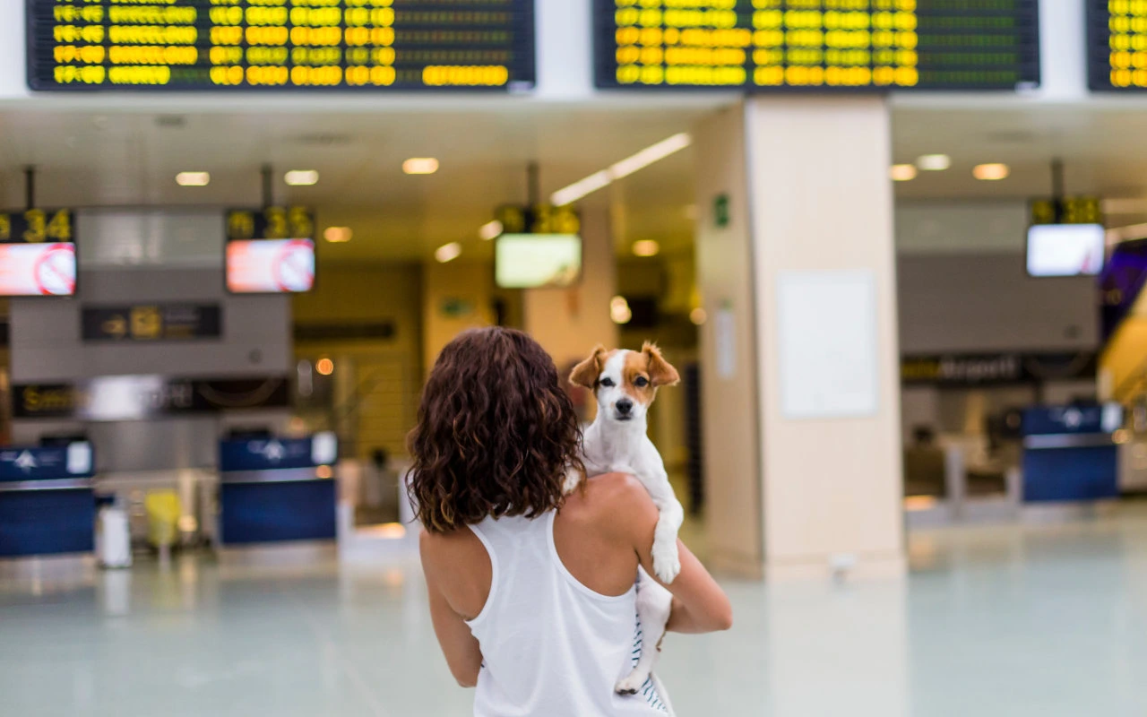 femme qui arrive à l'aéroport avec son chien