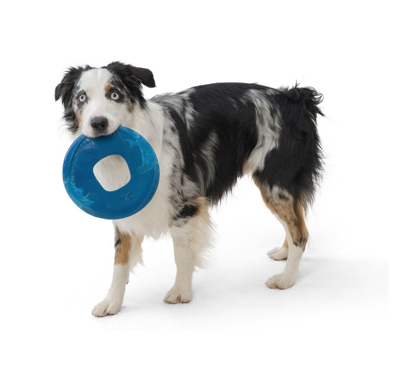 WEST PAW - Frisbee Sailz pour chien - Letourno