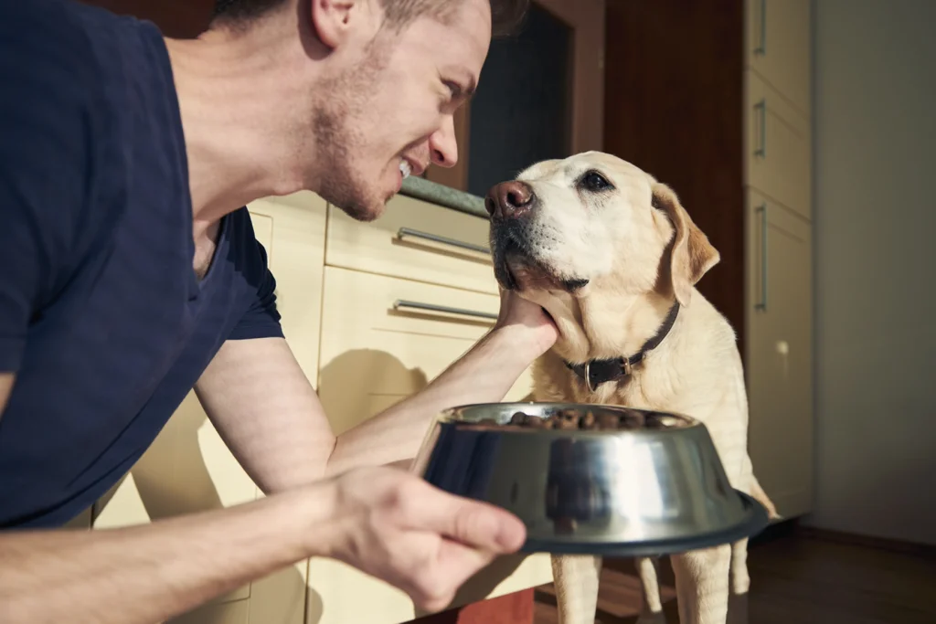 Homme donnant à son chien de la nourriture saine.