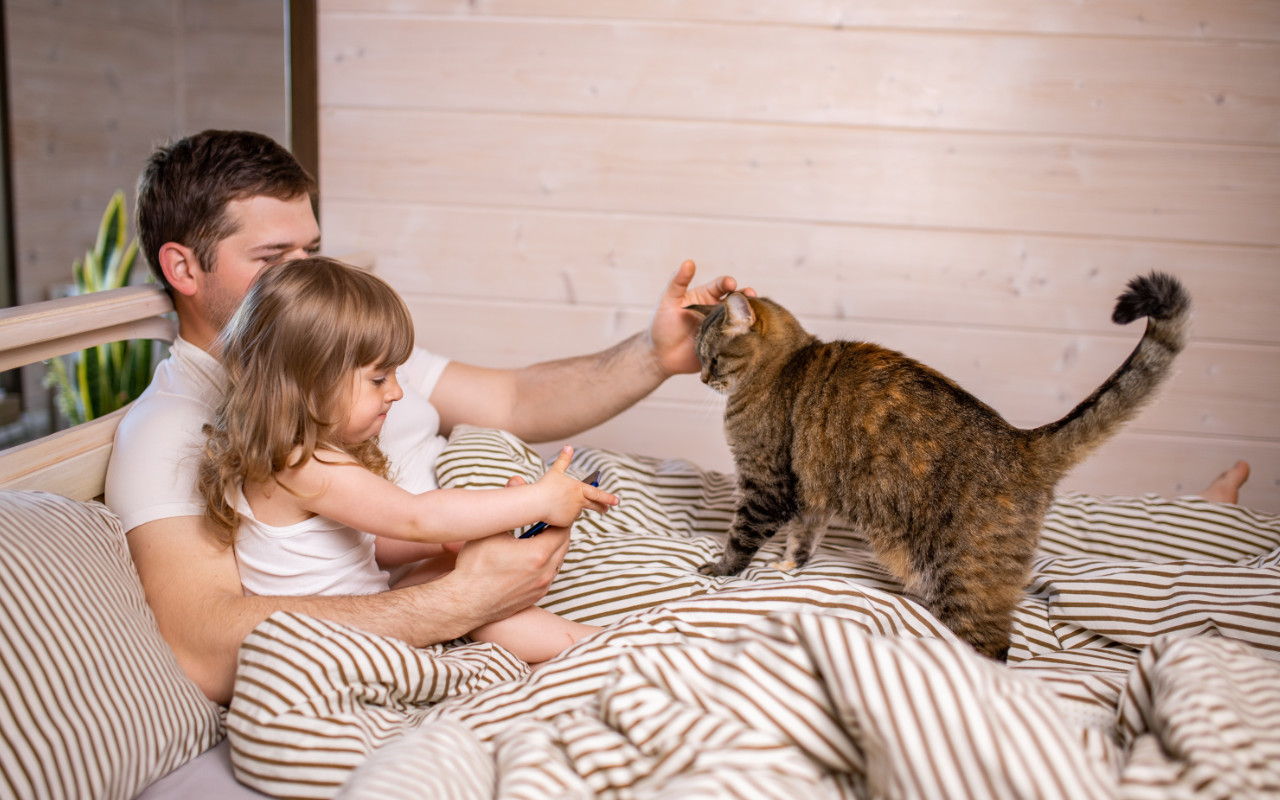 Chat et bébé : comment favoriser leur cohabitation ?