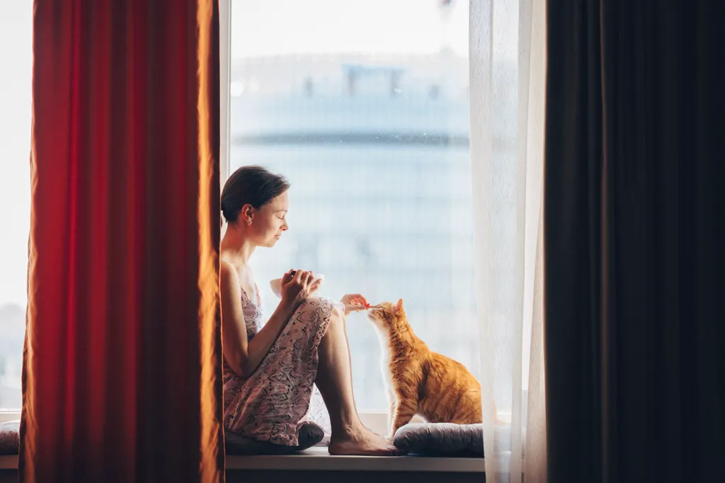 Jeune fille avec son chat roux au bord d'une fenêtre.