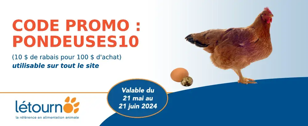 CODE PROMO, poules pondeuses.