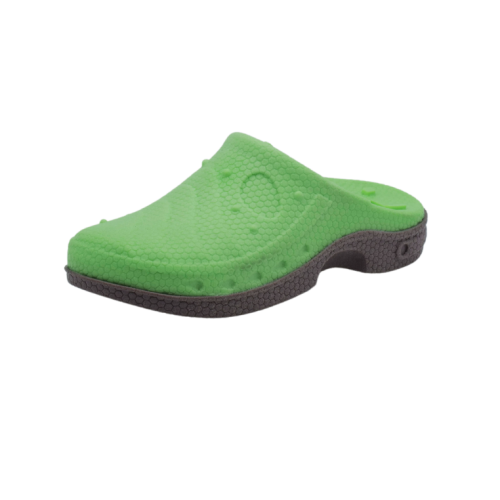 BUD'Z - Jouet sandale verte flottante pour chien
