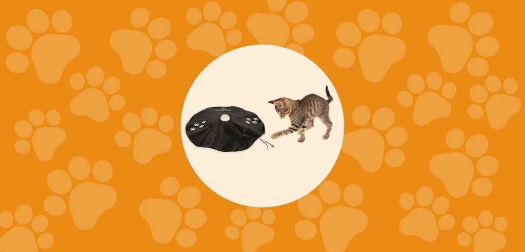 Le jouet du Jeu de poursuite