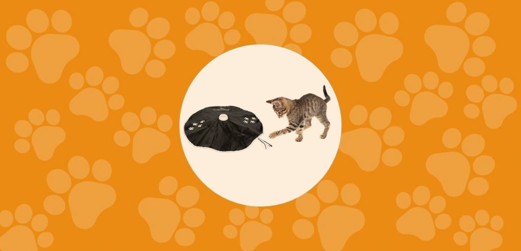 Le jouet du Jeu de poursuite