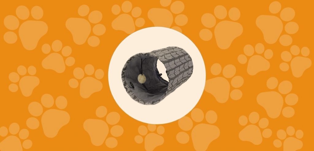 Le tunnel de jeu pour Minou!