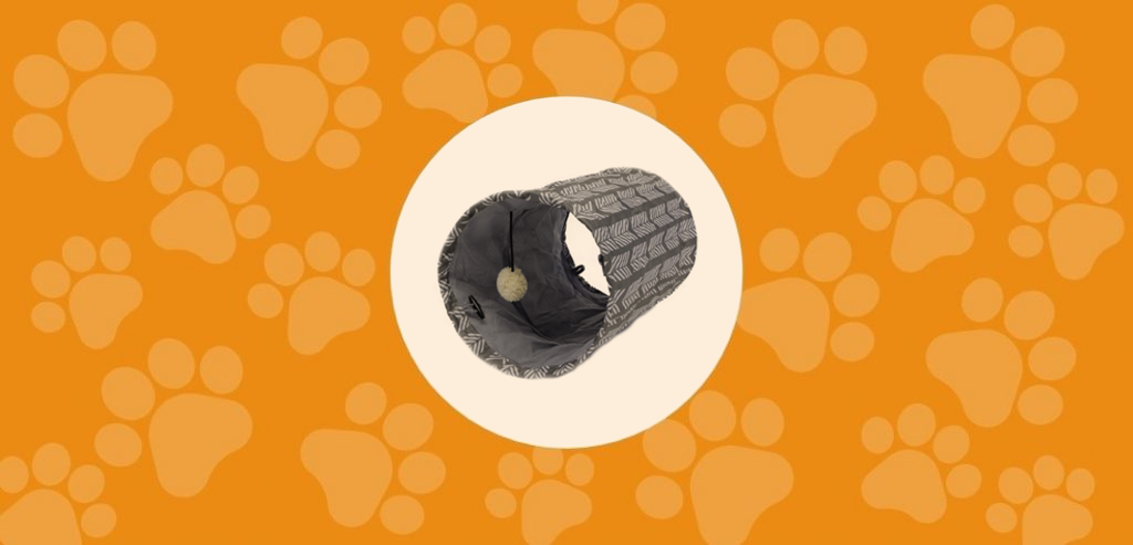 Le tunnel de jeu pour Minou!