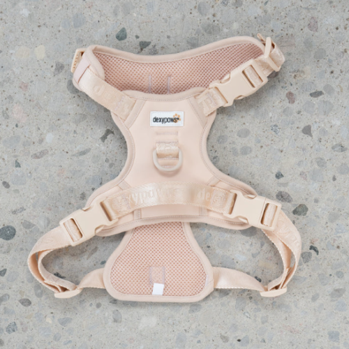 DEXY PAWS – Harnais beige pour chien