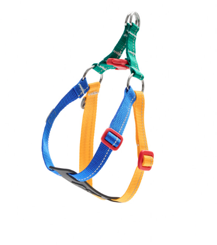 RC PETS - Harnais Step-In Jujube pour petit chien