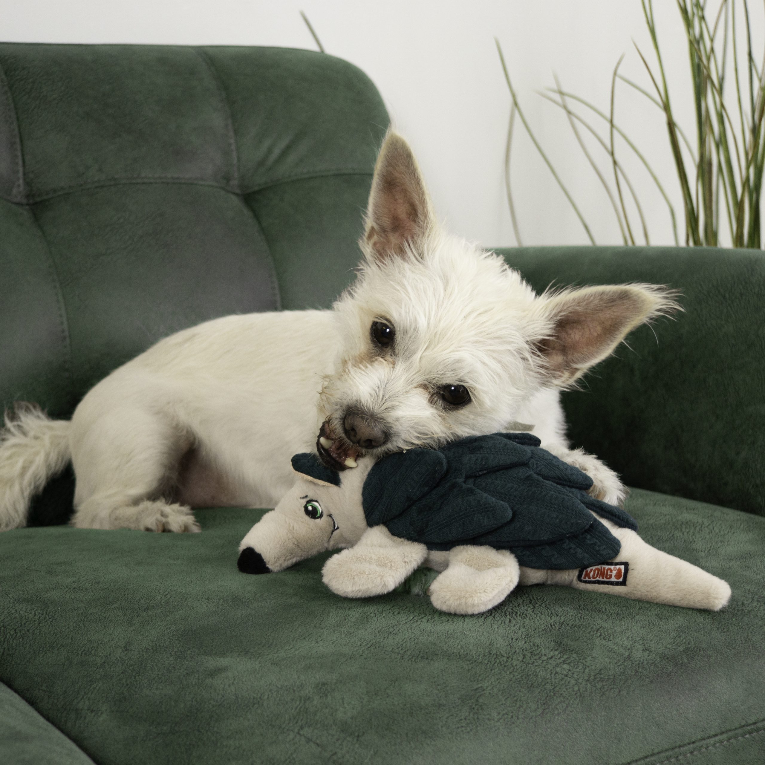 KONG - Jouet Tatou Layerz pour chien – Image 3