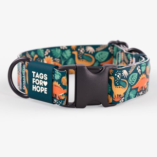 TAGS FOR HOPE - Collier Dino pour chien