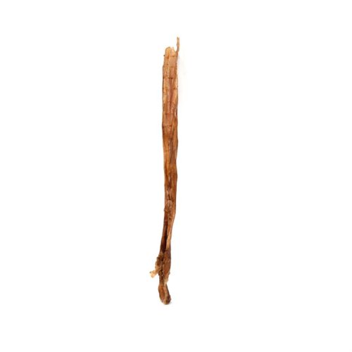 WAWWAW- Bully stick de veau pour chien