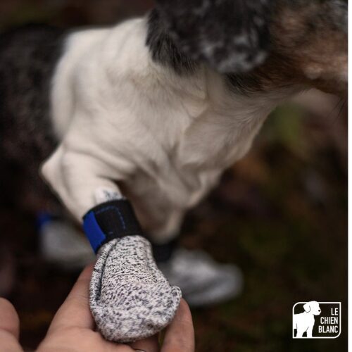 LE CHIEN BLANC - Botte courte anti-coupure