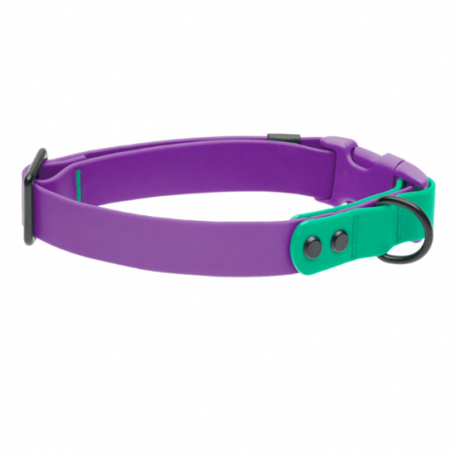 RC PETS – Collier hydrofuge Mauve et vert pour chien