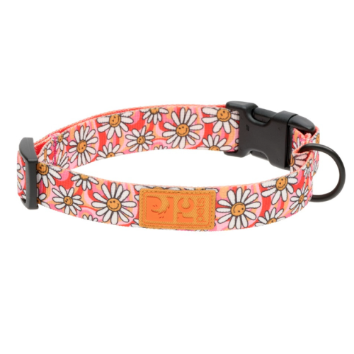 RCPETS - Collier éco joie de marguerites pour chien