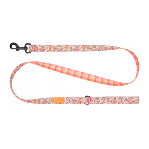 RC PETS - Laisse joie de marguerites pour chien