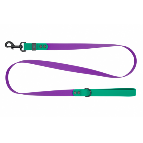 RC PETS - Laisse hydrofuge mauve et verte pour chien