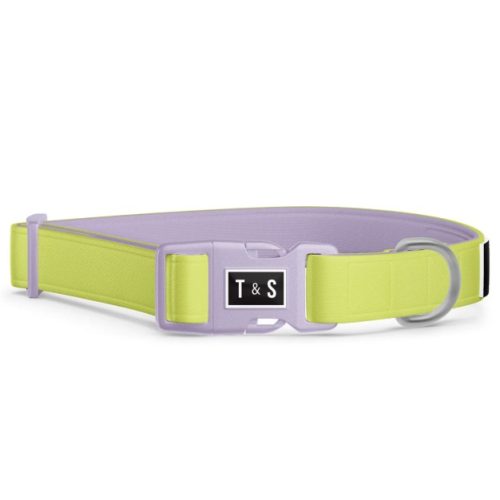 TELLA & STELLA - Collier polyester lime pour chien