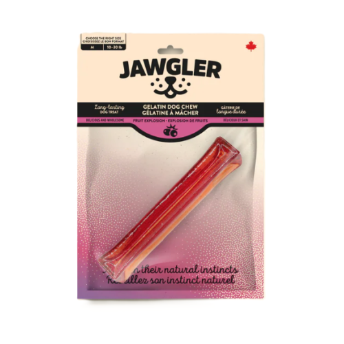 JAWGLER - Gelatine à mâcher explosion de fruit