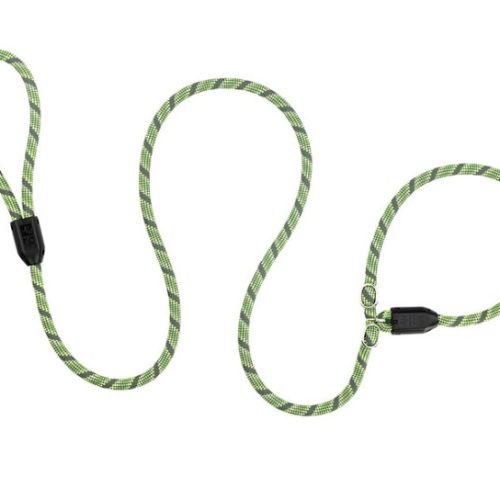 RCPETS - laisse licou olive pour chien