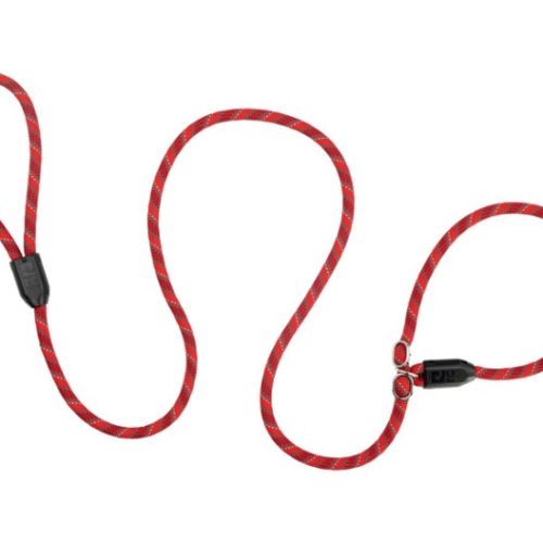 RCPETS - laisse licou rouge pour chien