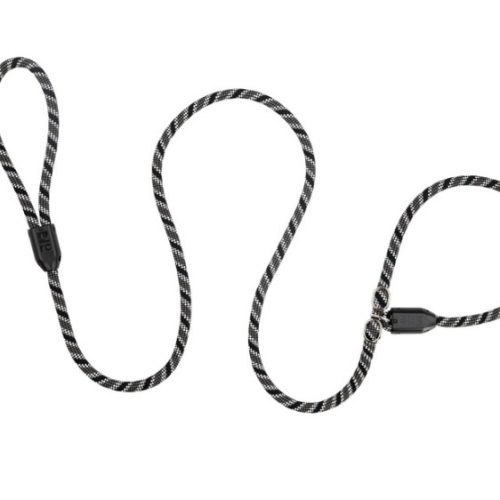 RCPETS - laisse licou noir pour chien