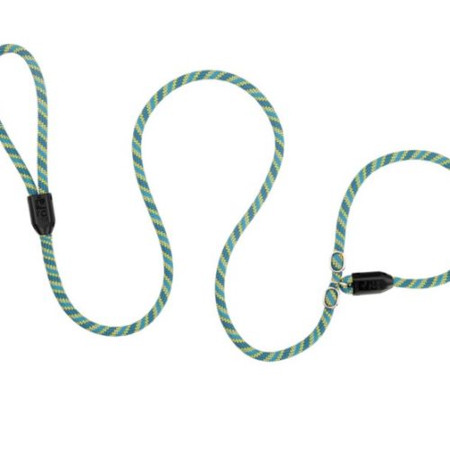 RCPETS - laisse licou teal pour chien