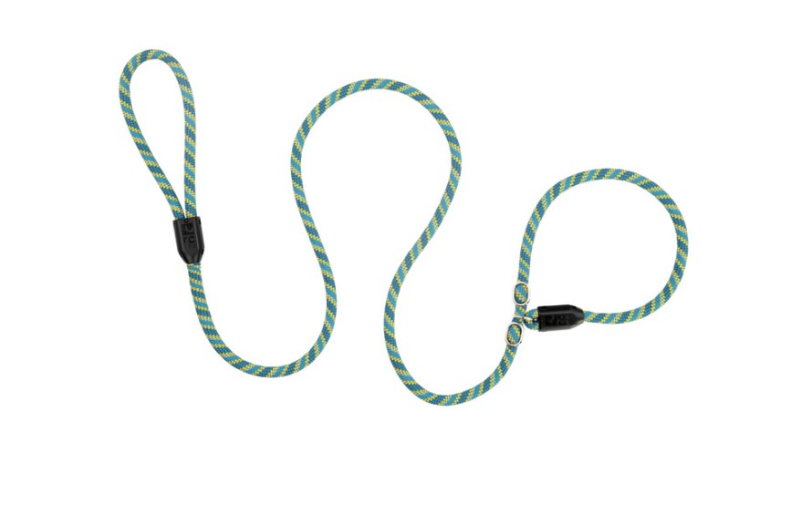RCPETS - laisse licou teal pour chien