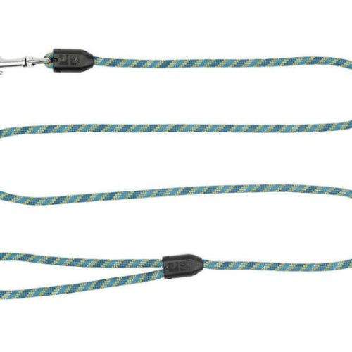 RCPETS - laisse ronde teal pour chien