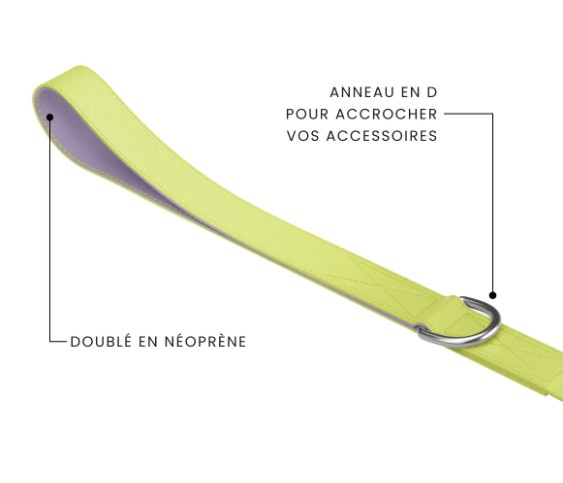TELLA & STELLA - Laisse polyester lime pour chien – Image 2