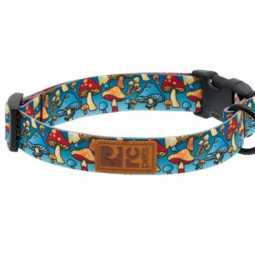 RCPETS- Collier éco champignons