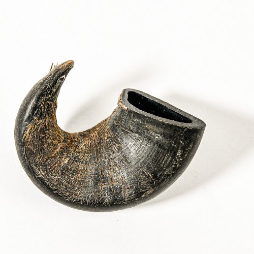 QT - Corne de buffle d'eau pour chien