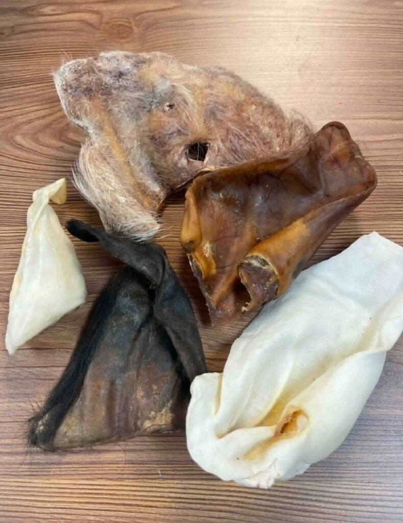 Sac Party d'oreilles mixtes pour chien