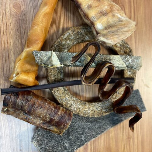 LÉTOURNO - Super boite de mastication pour chien