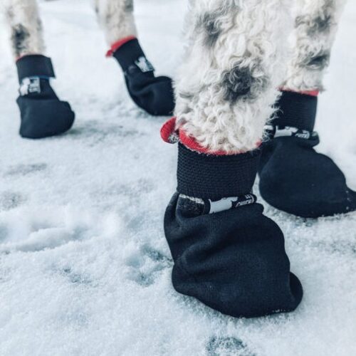 LE CHIEN BLANC - Botte courte anti-dérapante