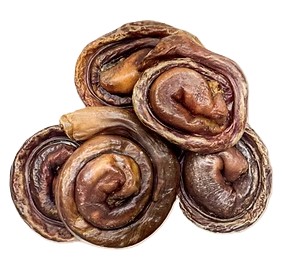 KYON - Brioche en œsophage pour chien