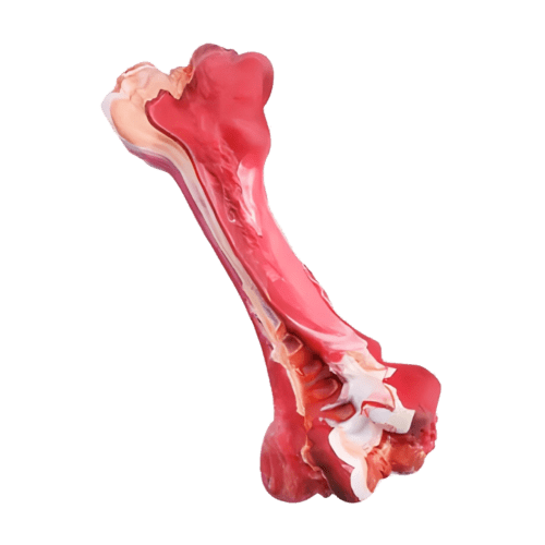 TO BE LOVED - Os en caoutchouc pour chien