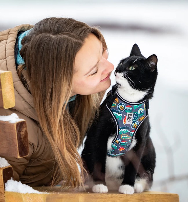 RC PETS - Harnais aventure écussons pour chat – Image 3